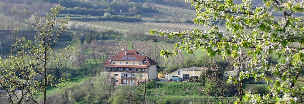 Pension Rudi - Weingut Kellner Hotel Pulkau Buitenkant foto