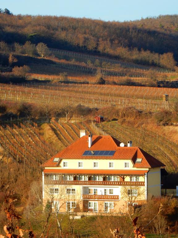 Pension Rudi - Weingut Kellner Hotel Pulkau Buitenkant foto